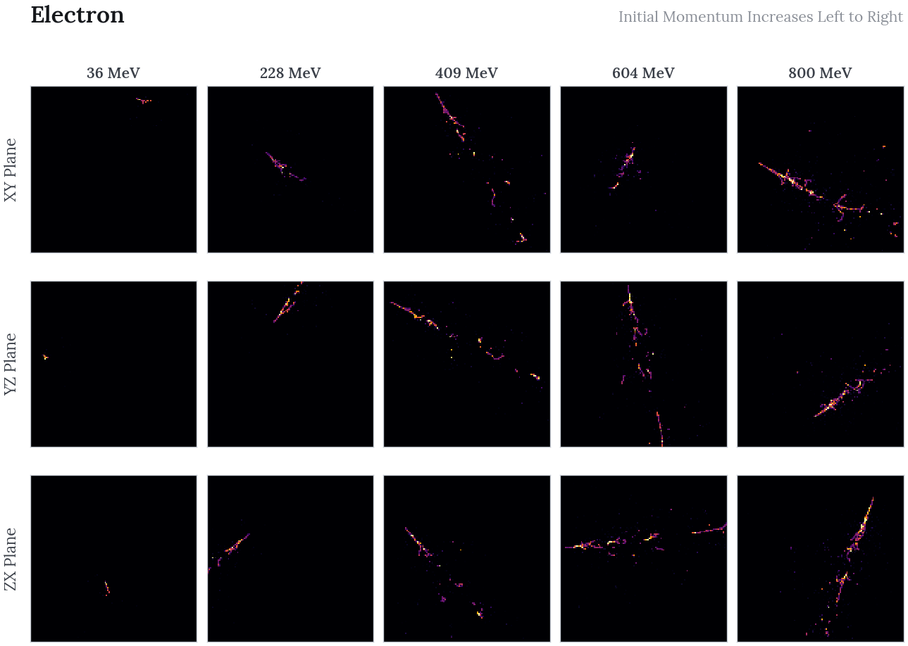 Animated grid cycling through electron, muon, photon, pion and proton. Each frame shows five events of one class at increasing momentum, with the XY, YZ and ZX projections as rows. Muons and pions leave thin lines, protons short bright stubs, and electrons and photons branching showers.