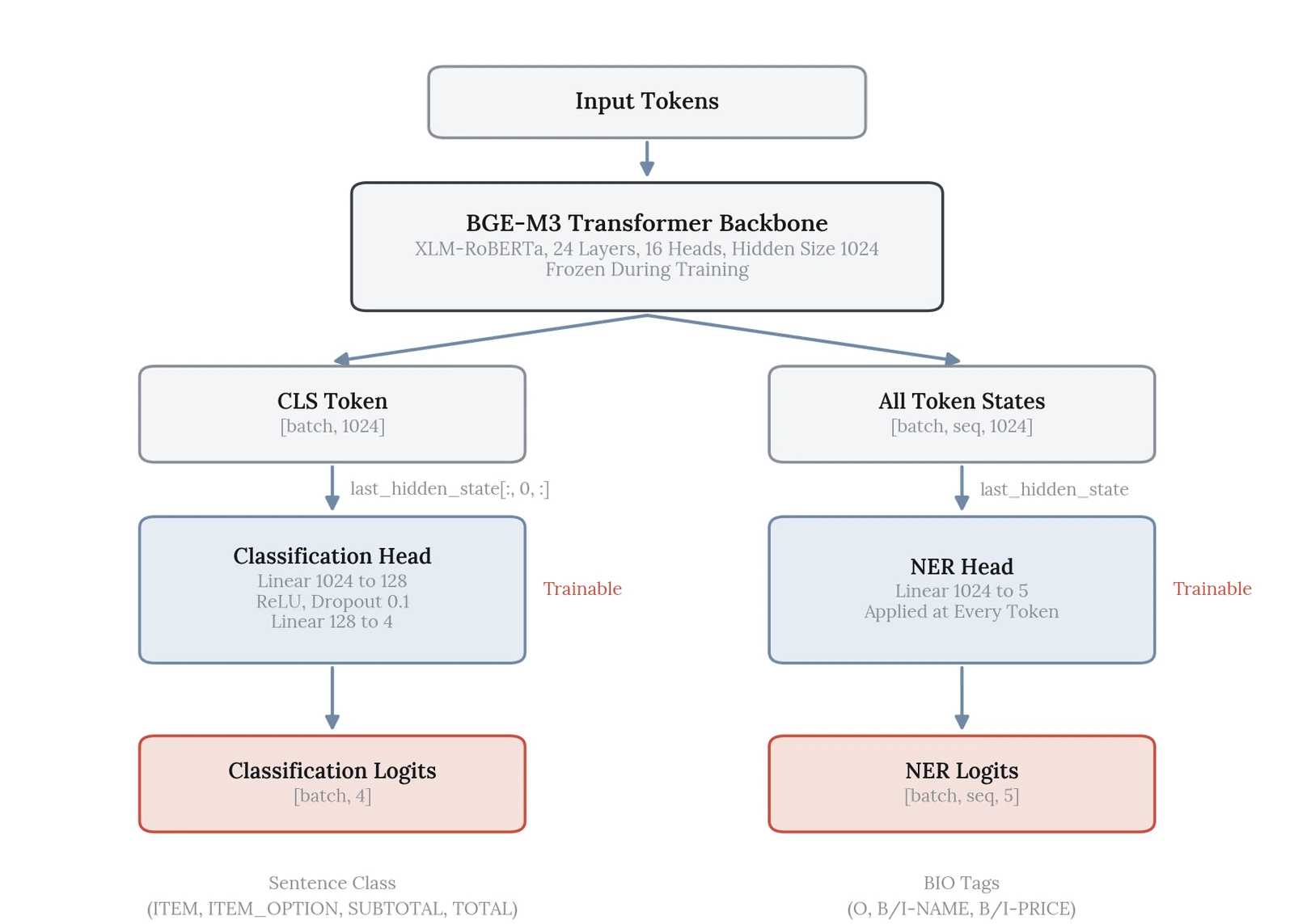 Flow diagram. Input tokens go into the frozen BGE-M3 backbone (XLM-RoBERTa, 24 layers, 16 heads, hidden size 1024). The CLS token state of size 1024 feeds a classification head (Linear 1024 to 128, ReLU with dropout 0.1, Linear 128 to 4) that outputs four sentence classes. All token states feed an NER head (Linear 1024 to 5) that outputs one of five BIO tags per token. Only the heads are marked trainable.